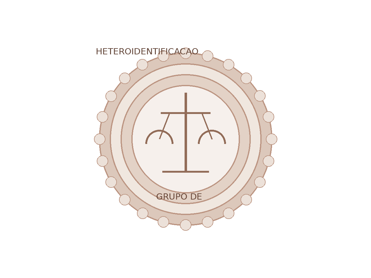 Heteroidentificação
